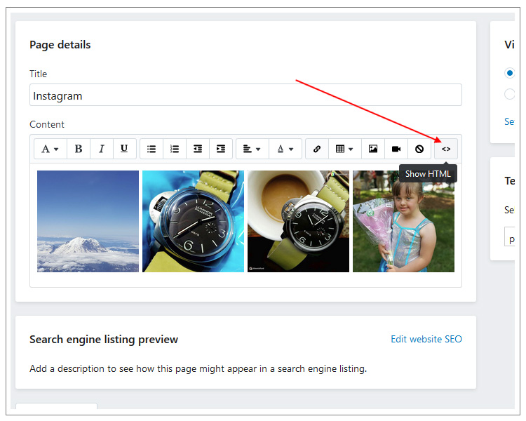 shopify instagram feed